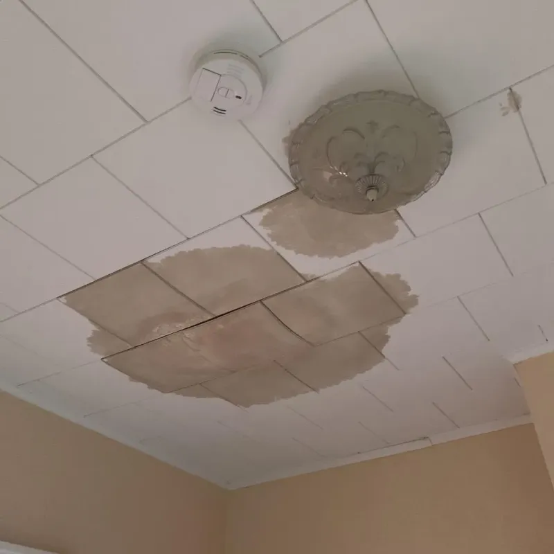 Ceiling Water Damage Repair in Bar Harbor, ME