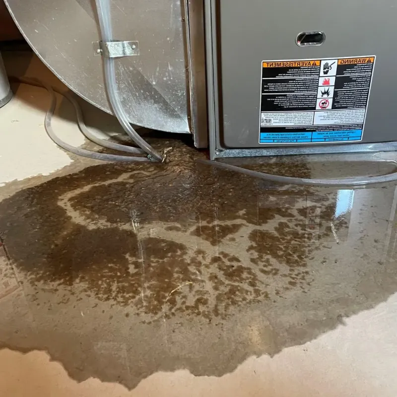 Pipe Burst and Leak Restoration in Bar Harbor, ME