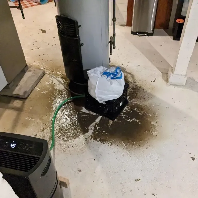 Sewage Backup Cleanup Service in Bar Harbor, ME
